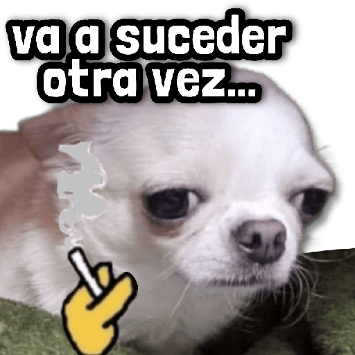 🐾 Perritos y Reacciones! 🔝 preview