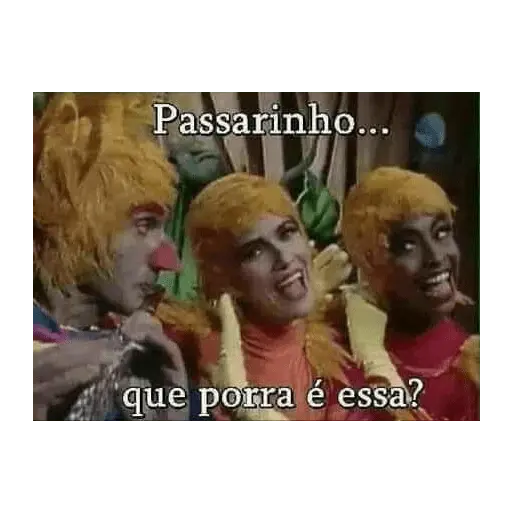 memes e frases