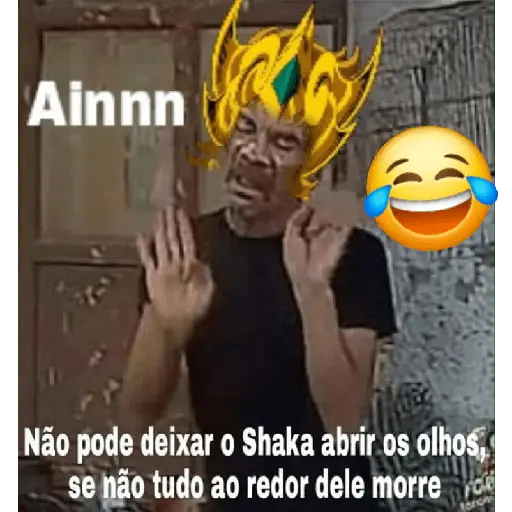memes e frases