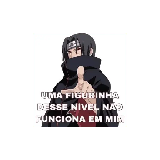 memes e frases