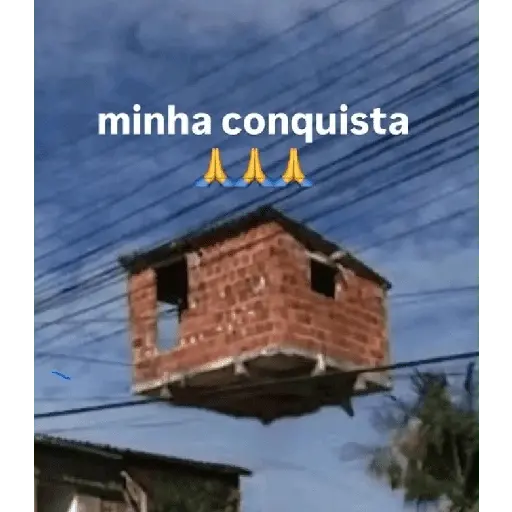 memes e frases