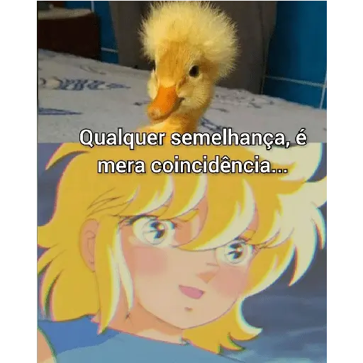 memes e frases