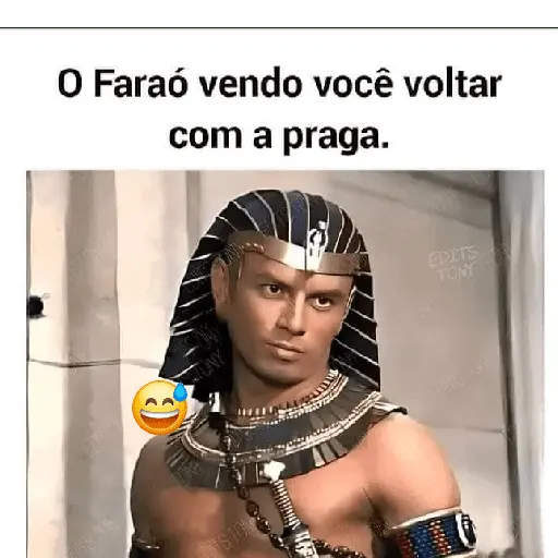 memes e frases