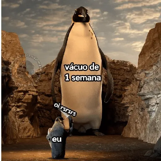 memes e frases