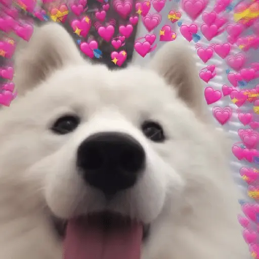💞💖 AMOR 7 💖💞