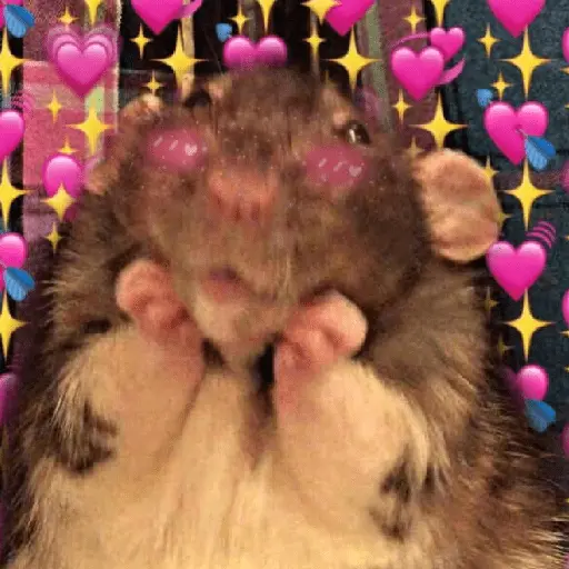 💞💖 AMOR 7 💖💞