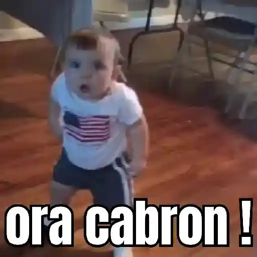 💗 Bebés Furiosos 🤬🤴🏻