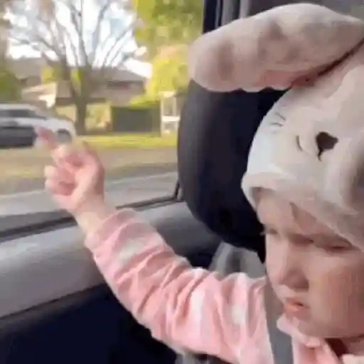 Bebés Reacciones ➋🍭💙