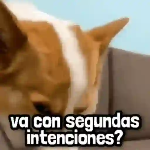 Mix Frases para Responder #➏