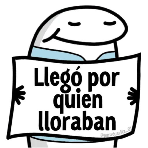 🌈 Flork Frases 4 🧦