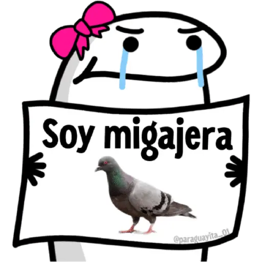 🌈 Flork Frases 4 🧦