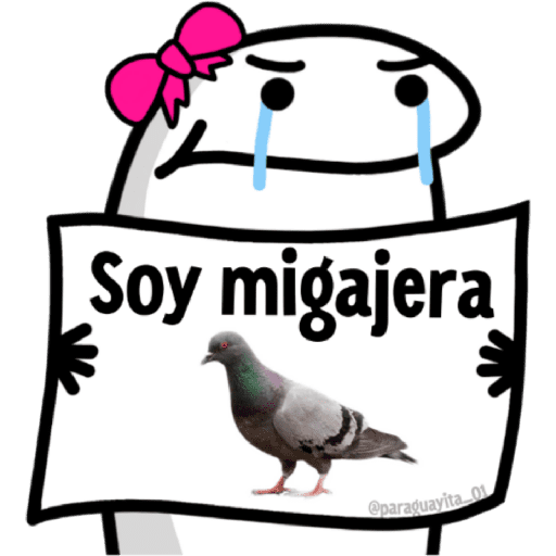🌈 Flork Frases 4 🧦 preview