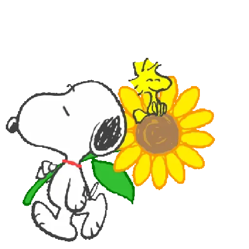 Cute Snoopy 🐾🖤