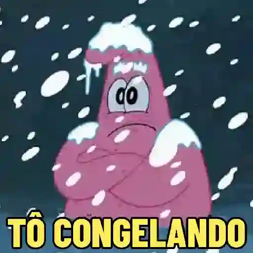FRIO DO CÃO🥶 preview