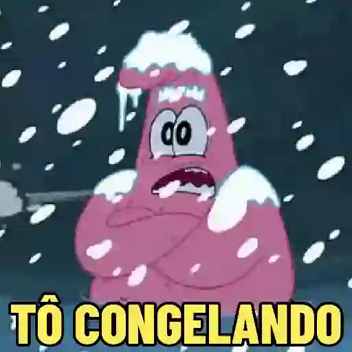 FRIO DO CÃO🥶