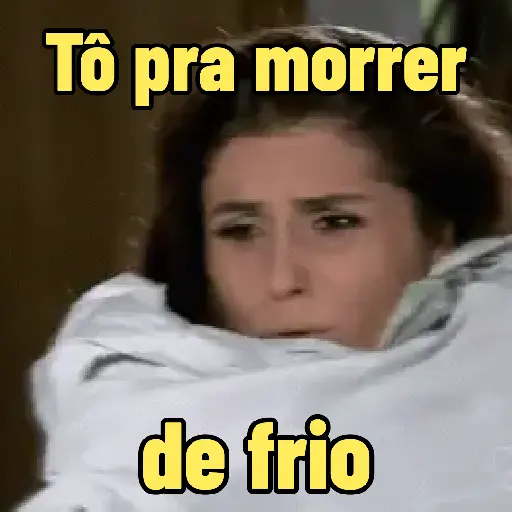 FRIO DO CÃO🥶