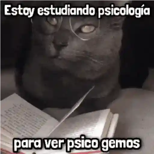 💢 Mix Frases! 💢 #➋