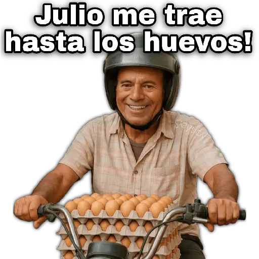 Julio 📅 memes 🪄💖