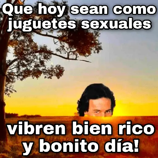 Julio 📅 memes 🪄💖