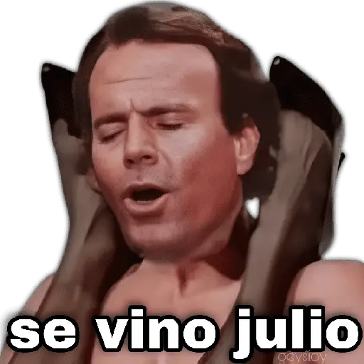 Julio 📅 memes 🪄💖