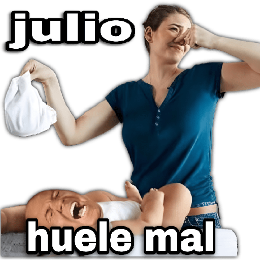 Julio 📅 memes 🪄💖 preview