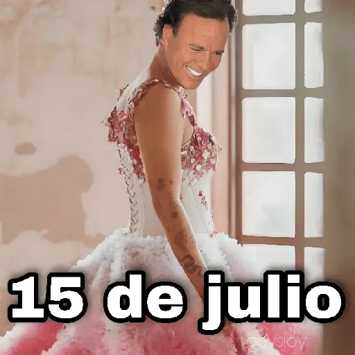 Julio 📅 memes 🪄💖