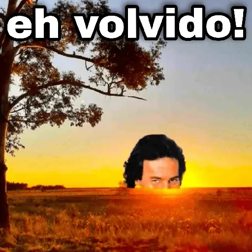 Julio 📅 memes 🪄💖