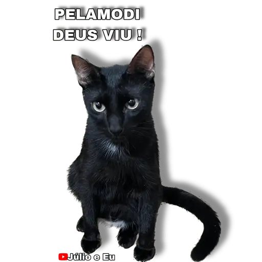 Júlio Emojis 1