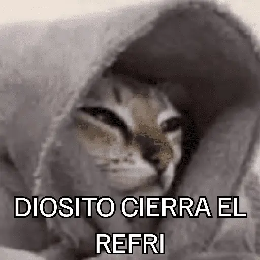Congelado Memes Frío ❄️