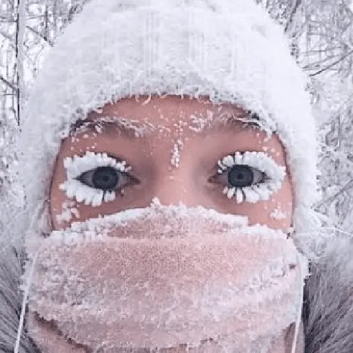 Congelado Memes Frío ❄️