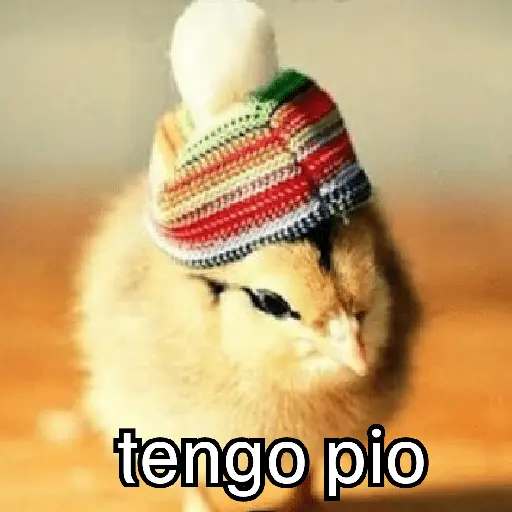 Congelado Memes Frío ❄️
