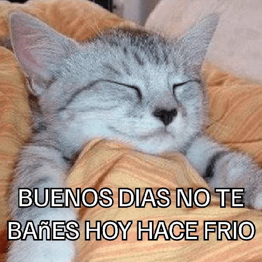 Congelado Memes Frío ❄️ preview