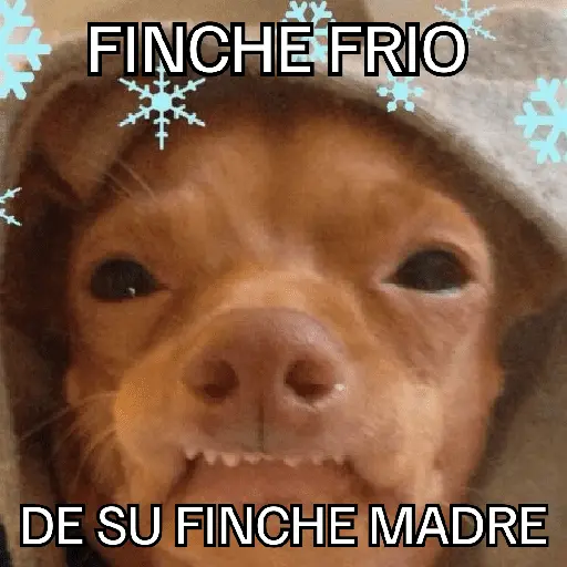 Congelado Memes Frío ❄️
