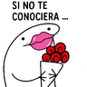  Frases de Flork Empoderadas 💬