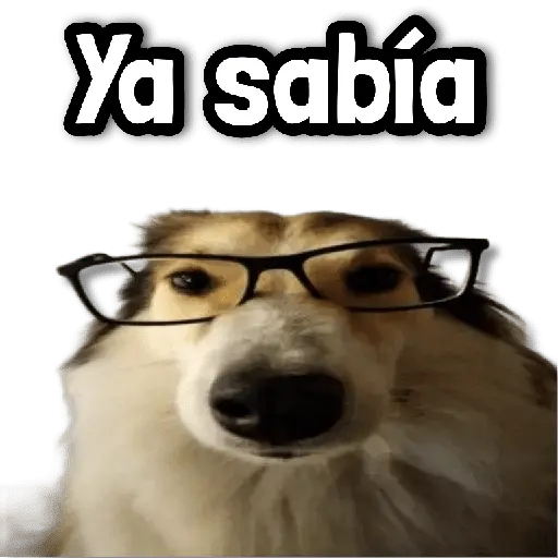 ☕ Stickers sin Filtro #➒ ☕