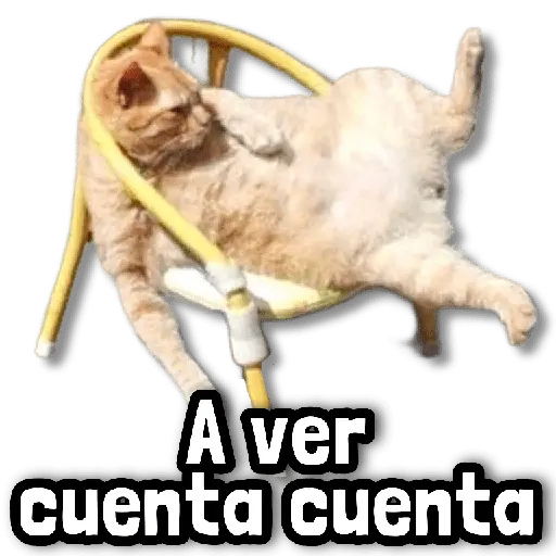 ☕ Stickers sin Filtro #➒ ☕