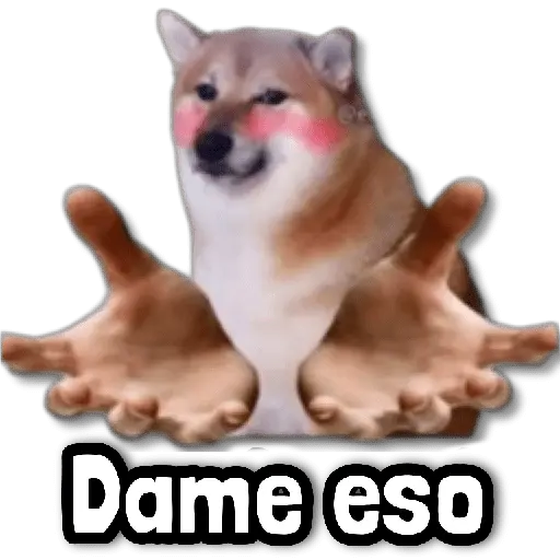 ☕ Stickers sin Filtro #➒ ☕