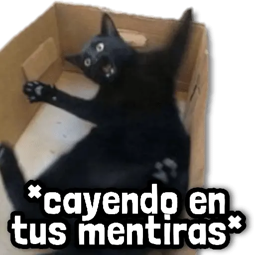 ☕ Stickers sin Filtro #➒ ☕