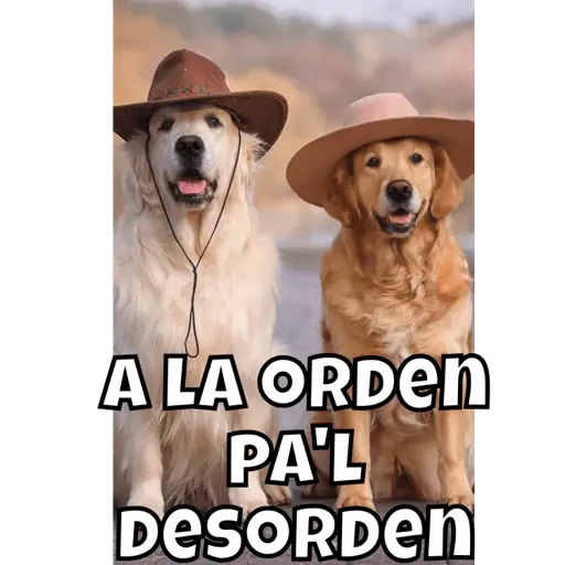 Jorge el curioso