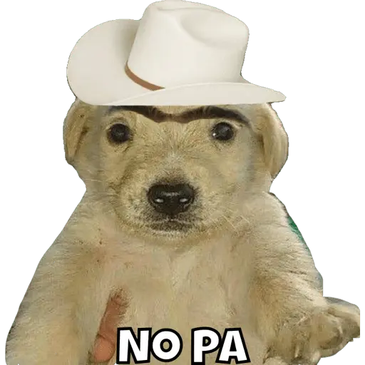 Jorge el curioso