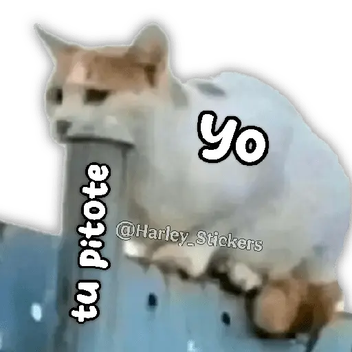 🍒🫦 CALIENTES pal Chat 🫦🍒🔥