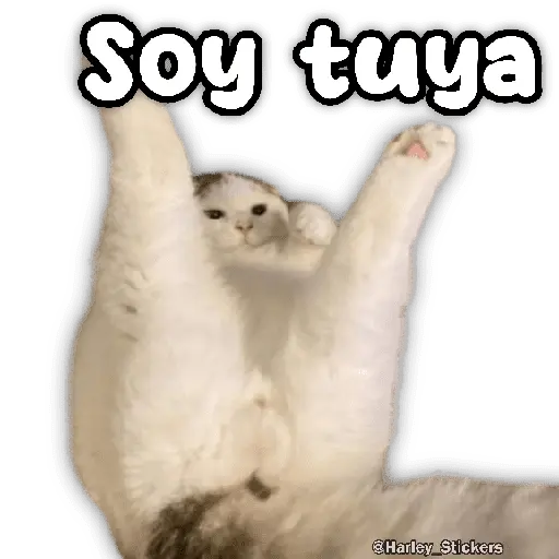 🍒🫦 CALIENTES pal Chat 🫦🍒🔥
