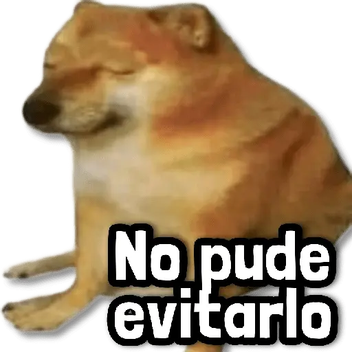 🍀 Stickers sin Filtro #➊➊ 🍀