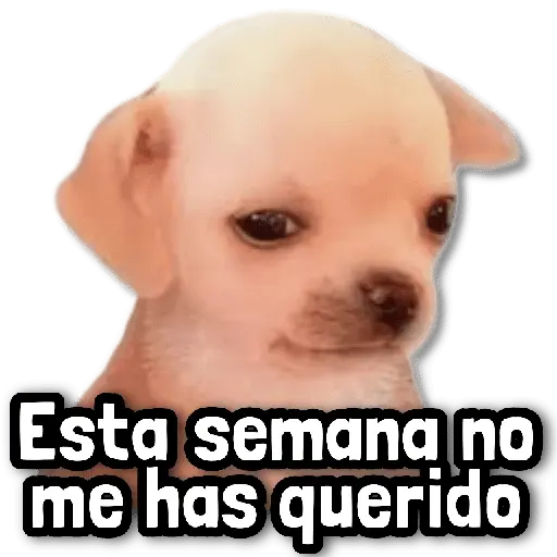 🍀 Stickers sin Filtro #➊➊ 🍀