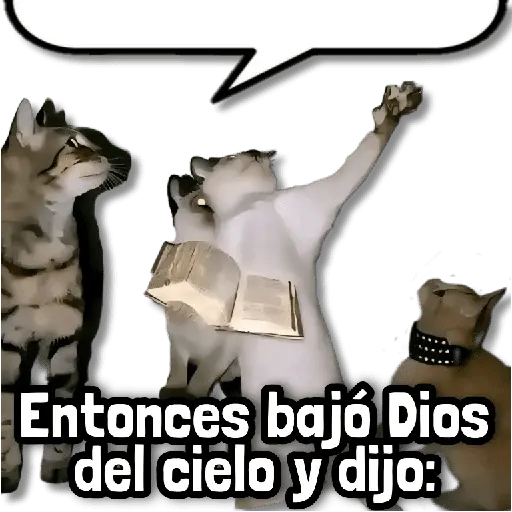 🍀 Stickers sin Filtro #➊➊ 🍀