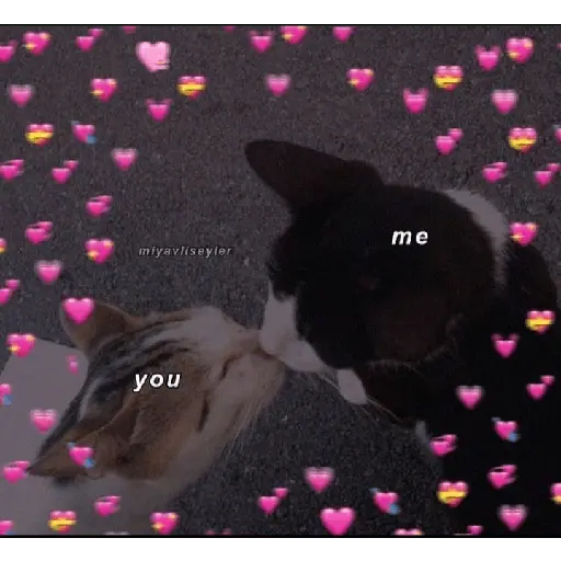 stikers de amor acá bien vrgas
