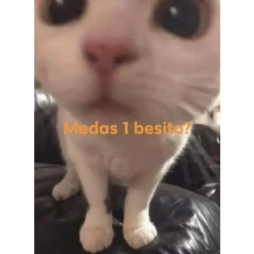 stikers de amor acá bien vrgas