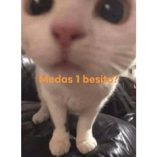 stikers de amor acá bien vrgas preview