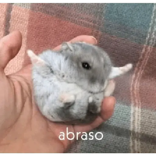 stikers de amor acá bien vrgas