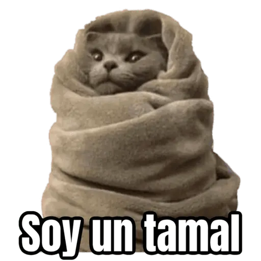 Memes para el frio 🥶❄️☃️